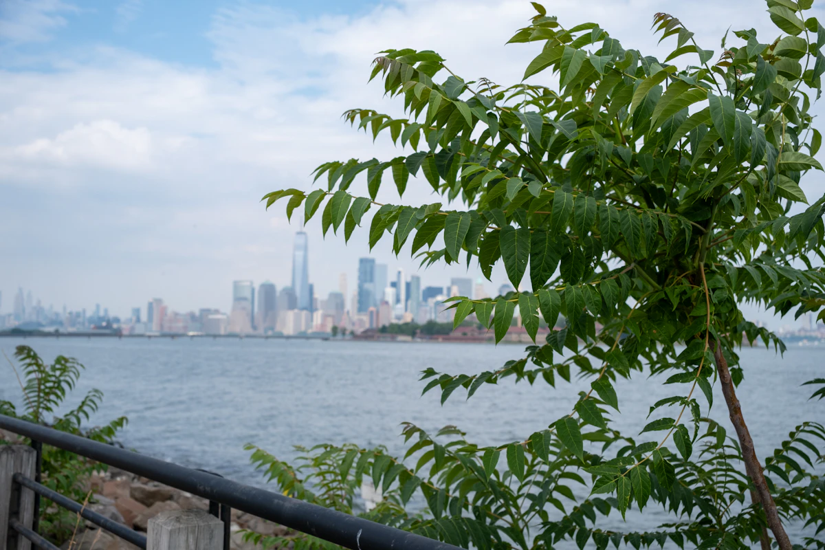 Foreclosure notice document on a Jersey City, New Jersey home near the Hudson County courthouse