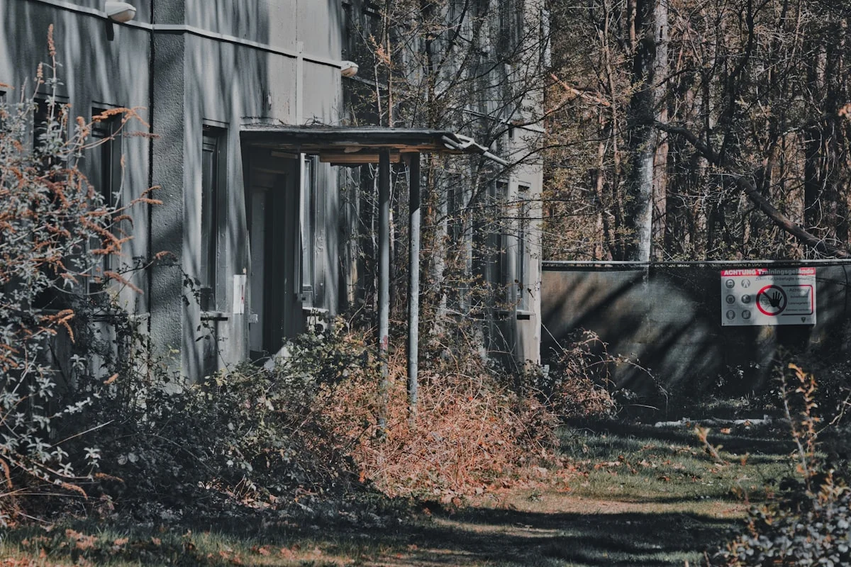 Weathered doorway entrance surrounded by overgrown vines, vacant New Jersey property